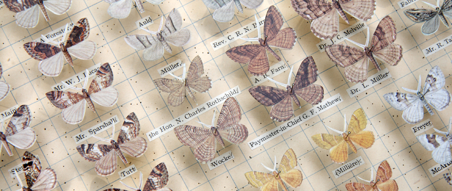 Robert Good Moths of Great Britain