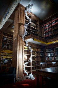 Anna Berry at Land Economy Library