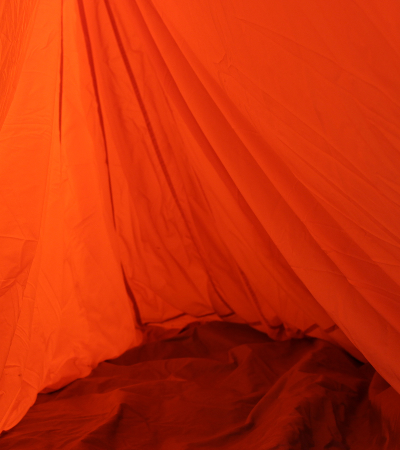 Teresa Harrison 1_900h