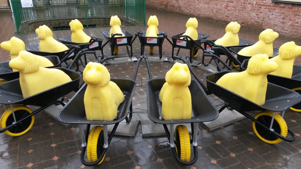 Tom Hackett Shaggy Dog Story_1200w