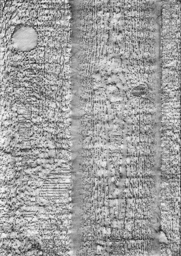 BA Zanditon Taking Rubbings 3